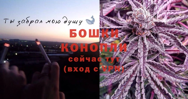 сатива Арсеньев