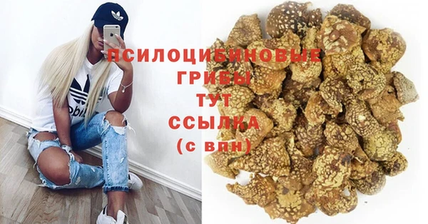 синтетический гашиш Богородск