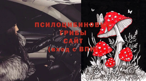 сатива Арсеньев