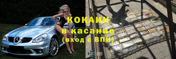 сатива Арсеньев
