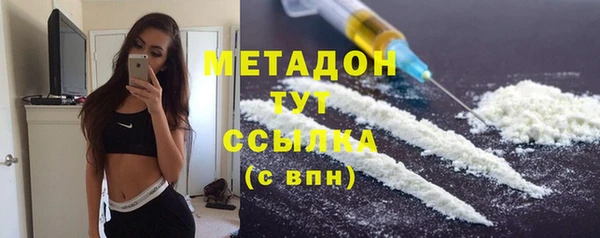 сатива Арсеньев