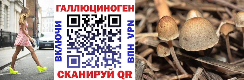 Псилоцибиновые грибы Magic Shrooms Раменское
