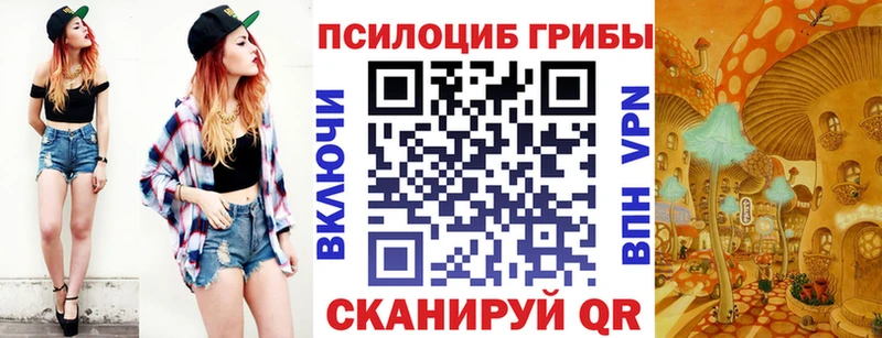 Псилоцибиновые грибы Psilocybe  Раменское 