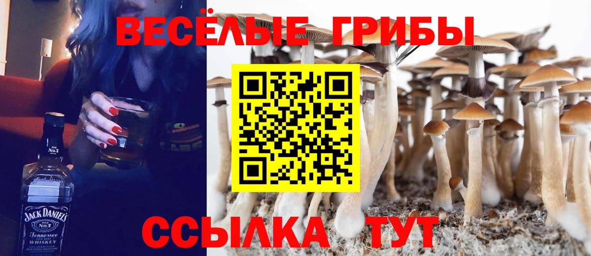 Псилоцибиновые грибы мухоморы Раменское