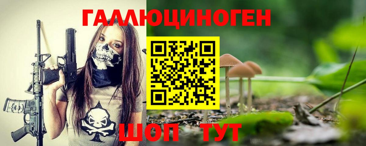 Раменское  Галлюциногенные грибы мицелий  где можно купить   Вход с VPN 